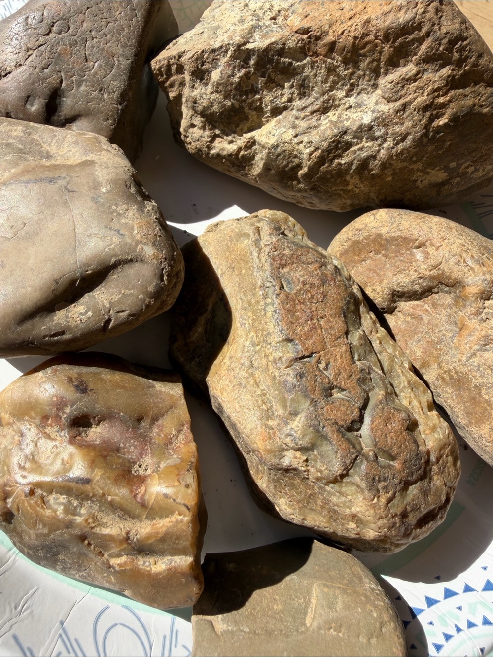 Jasper & agatized jasper collectors or Decor for Reptiles terrariums aquarium